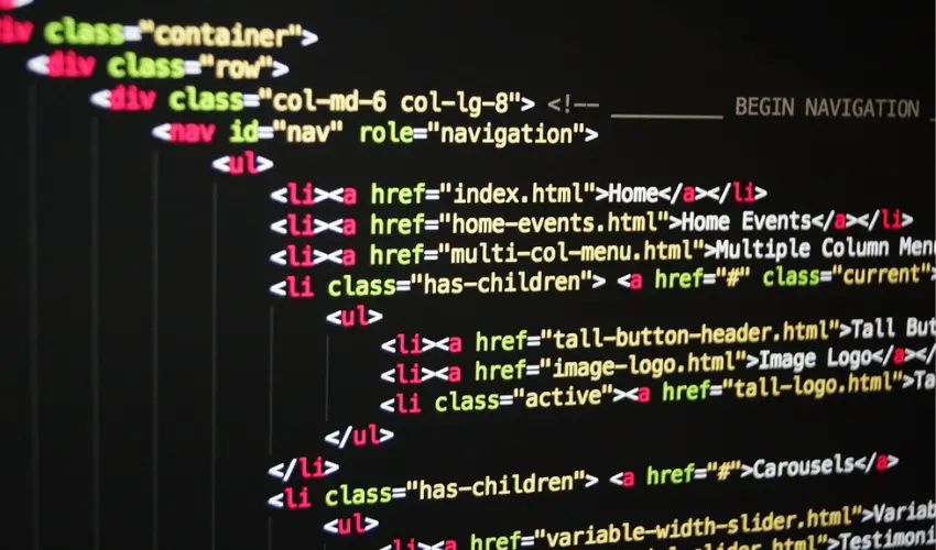 Custom Development interface with tailored app preview